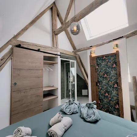 Piscine Chauffee, Centre, Maison Atypique * Rouen